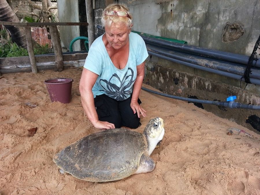 Volontärresa som senior