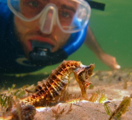 dykresa-volontär-marin-miljö-kambodja