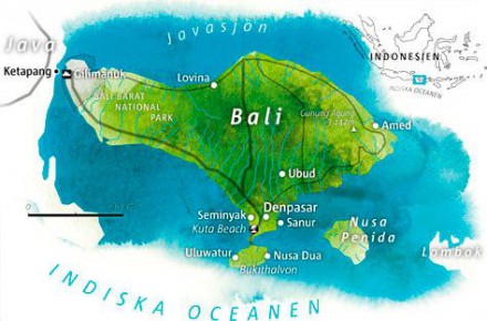 volontärresor-bali-lovina