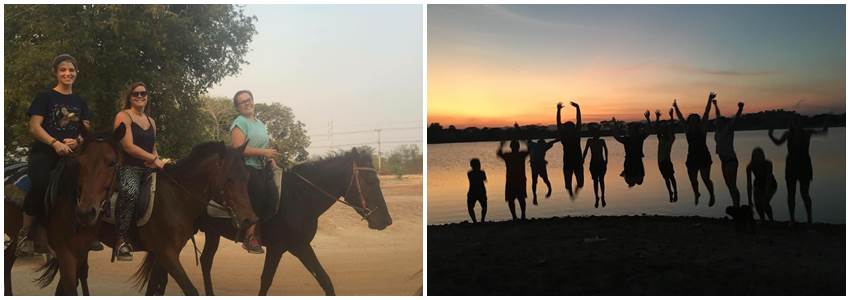 volontärarbeta-med-djur-i-thailand