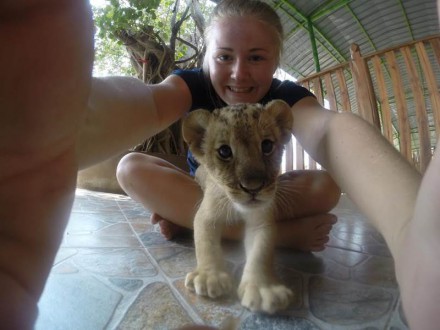 volontärresor-med-djur-thailand