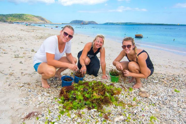 volontärarbeta-utomlands-bali-srilanka
