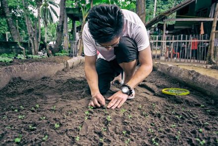 volontär-miljöprojekt-filippinerna