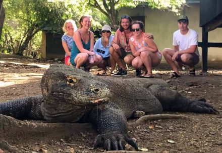 volontaerresor-komodo-indonesien