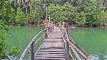 volontararbete-filippinerna