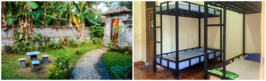 frivillig-arbeid-bali