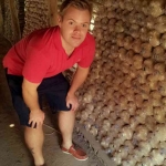 Lagrad svamp Lagrad svamp i Kaeng Krachan